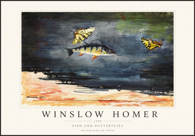 Winslow Homer Fish and Butterflies No1 - Poszter