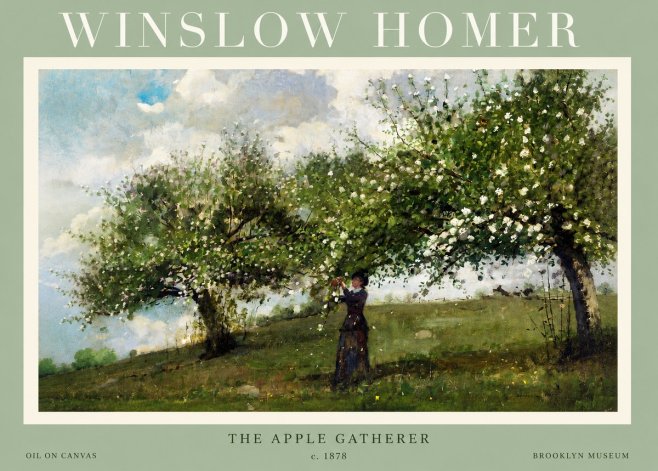 Winslow Homer The Apple Gatherer No2 - Poszter