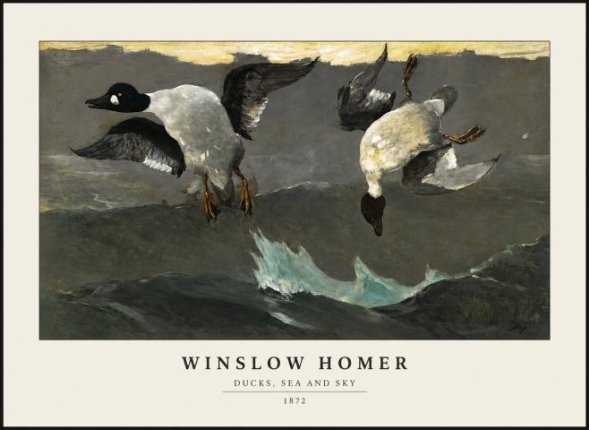 Winslow Homer Ducks, Sea and Sky No1 - Poszter