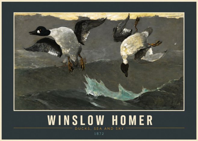 Winslow Homer Ducks, Sea and Sky No2 - Poszter