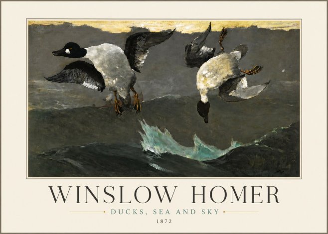 Winslow Homer Ducks, Sea and Sky No3 - Poszter
