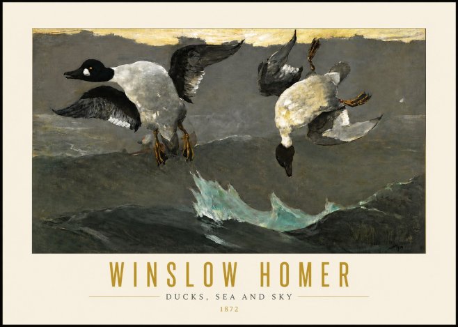 Winslow Homer Ducks, Sea and Sky No4 - Poszter