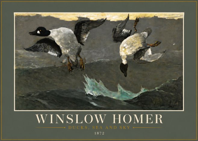 Winslow Homer Ducks, Sea and Sky No6 - Poszter