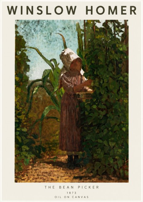Winslow Homer The Bean Picker No4 - Poszter