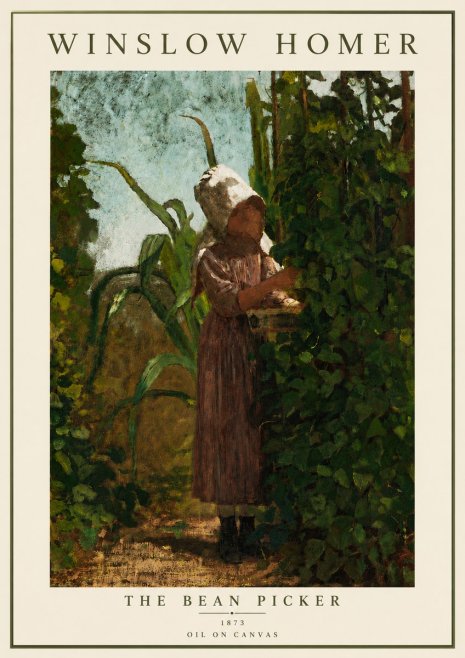 Winslow Homer The Bean Picker No6 - Poszter