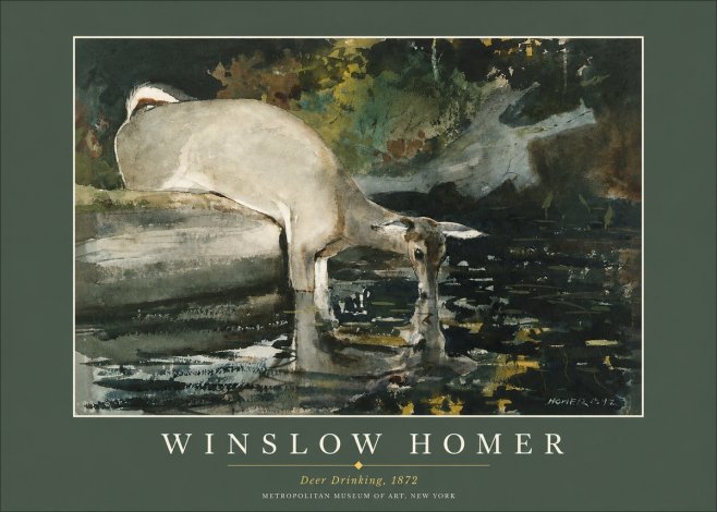 Winslow Homer Deer Drinking No2 - Poszter