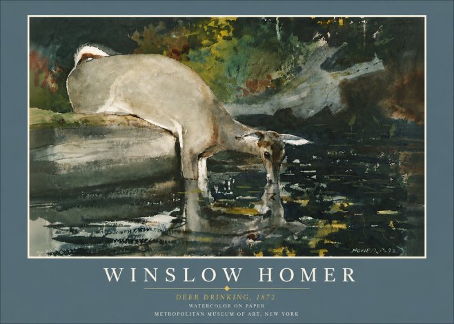 Winslow Homer Deer Drinking No6 - Poszter