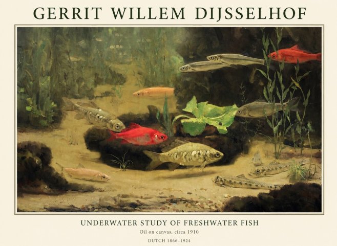 Gerrit Willem Dijsselhof Underwater Study of Freshwater Fish No1 - Poszter