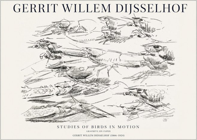 Gerrit Willem Dijsselhof Studies of Birds in Motion No1 - Poszter