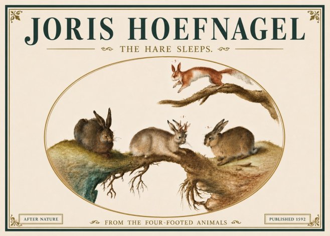 Joris Hoefnagel Lepvs Dormit No6 - Poszter
