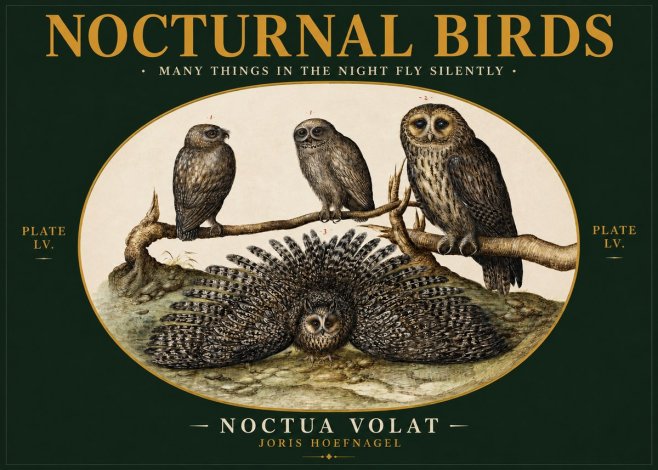 Joris Hoefnagel Noctva Volat No3 - Poszter