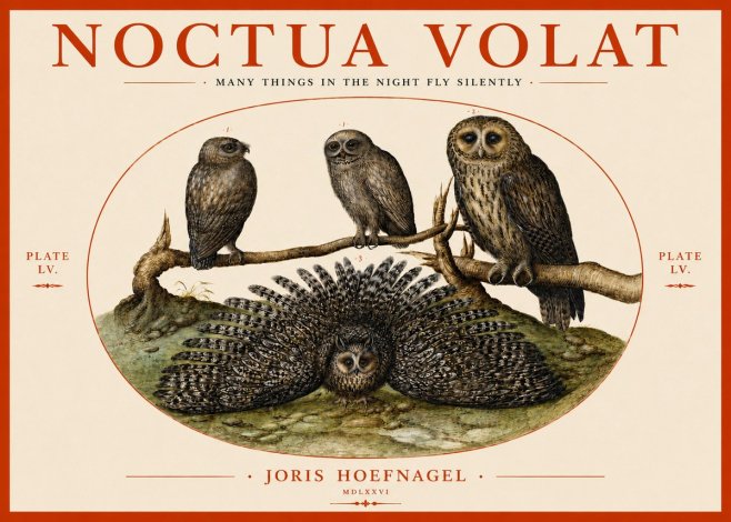 Joris Hoefnagel Noctva Volat No4 - Poszter