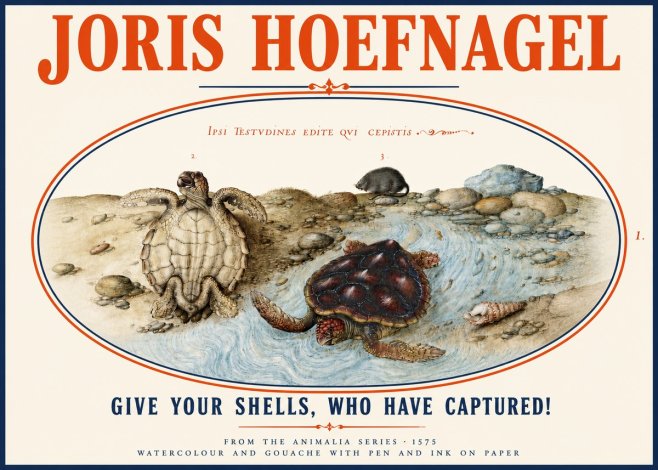 Joris Hoefnagel Two Turtles in a Stream No4 - Poszter