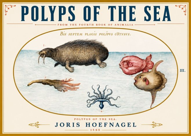 Joris Hoefnagel Polyps of the Sea No5 - Poszter