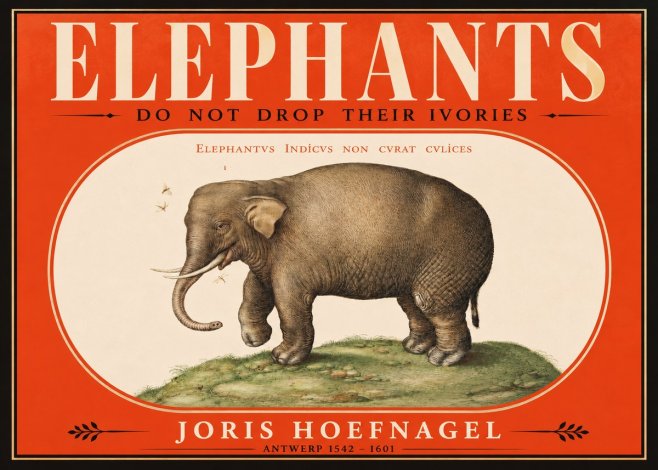Joris Hoefnagel Elephant Does Not Drop Its Ivories No2 - Poszter