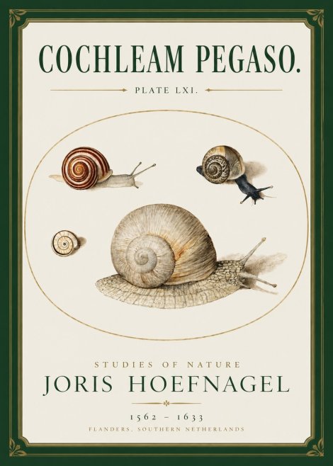Joris Hoefnagel The Four Snails No3 - Poszter