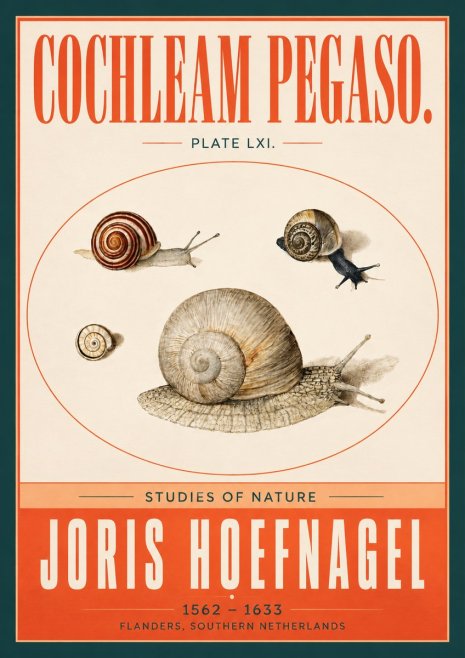 Joris Hoefnagel The Four Snails No4 - Poszter