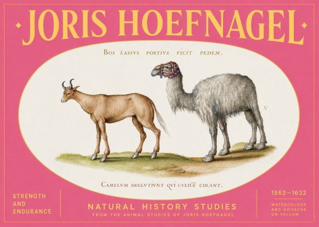 Joris Hoefnagel A Study of Strength and Endurance No2 - Poszter