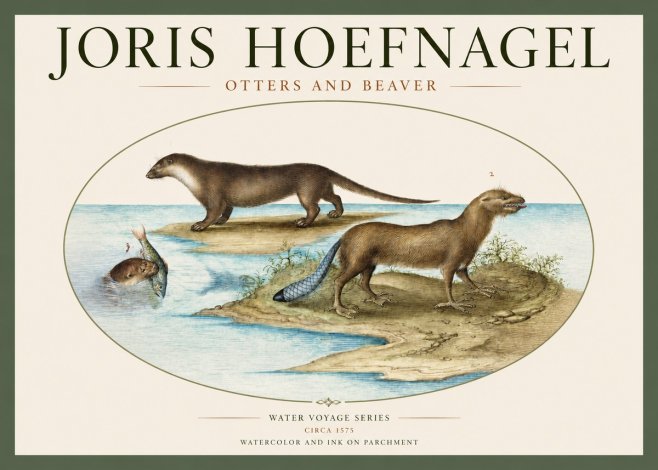 Joris Hoefnagel The Four-footed Creatures No3 - Poszter