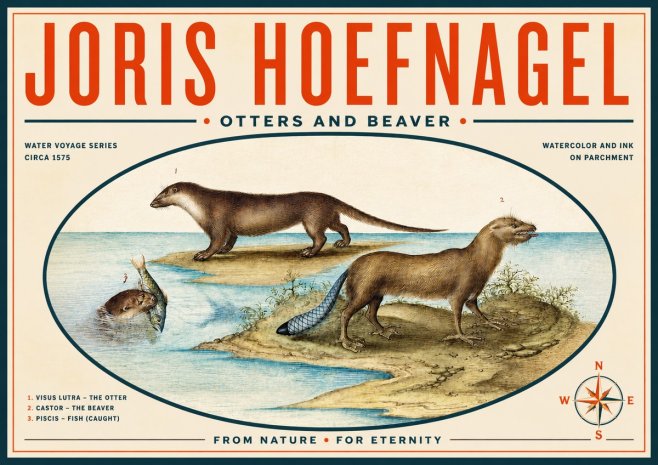 Joris Hoefnagel The Four-footed Creatures No6 - Poszter