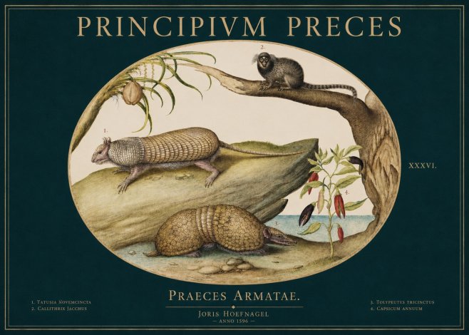 Joris Hoefnagel Praeces Armatae. No3 - Poszter