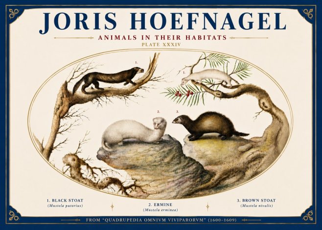 Joris Hoefnagel Animals in Their Habitats Plate Xxxiv No6 - Poszter