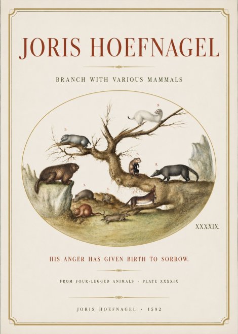 Joris Hoefnagel Branch with Various Mammals No3 - Poszter