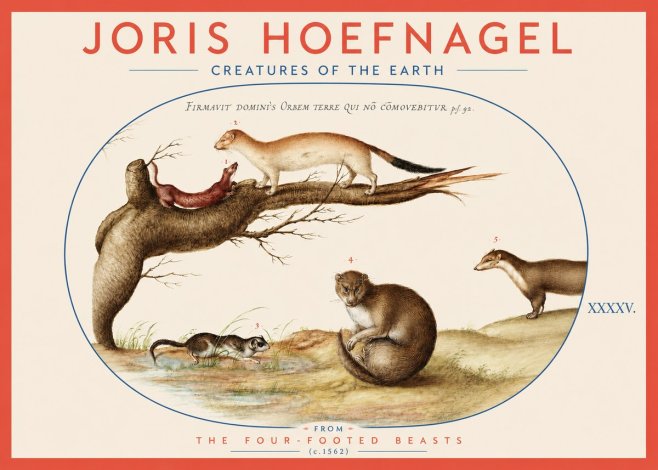 Joris Hoefnagel Creatures of the Earth I No3 - Poszter