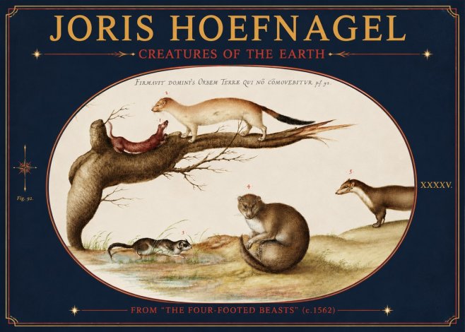 Joris Hoefnagel Creatures of the Earth I No4 - Poszter
