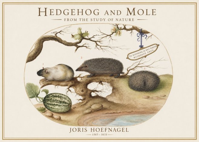 Joris Hoefnagel Hedgehog and Mole No1 - Poszter
