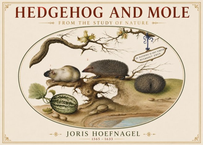 Joris Hoefnagel Hedgehog and Mole No5 - Poszter