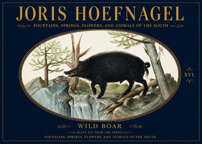Joris Hoefnagel Fountains, Springs, Flowers, and Animals of the South - Plate Xvi No5 - Poszter