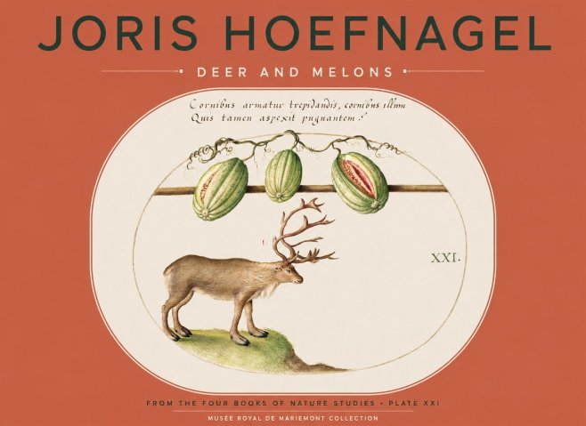 Joris Hoefnagel Arctic Nature Study No5 - Poszter