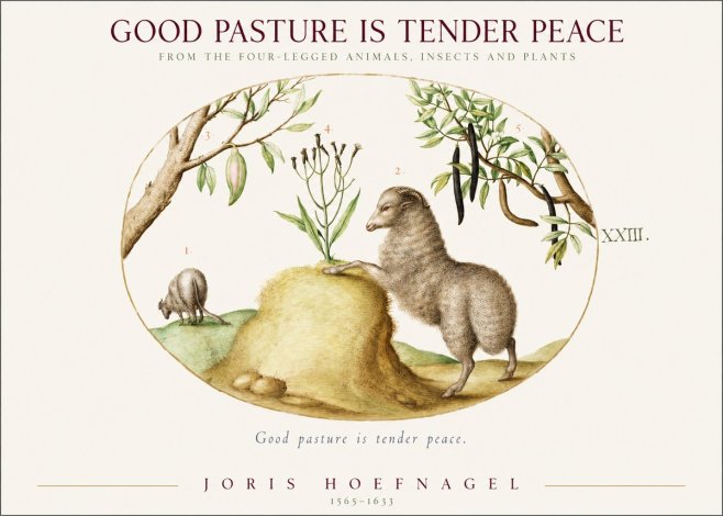 Joris Hoefnagel Good Pasture Is Tender Peace. No1 - Poszter