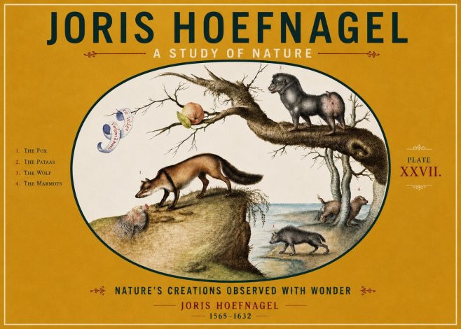 Joris Hoefnagel A Study of Nature - Plate Xxvii No4 - Poszter