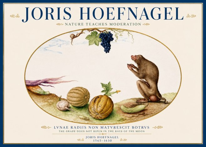 Joris Hoefnagel Nature Teaches Moderation No5 - Poszter
