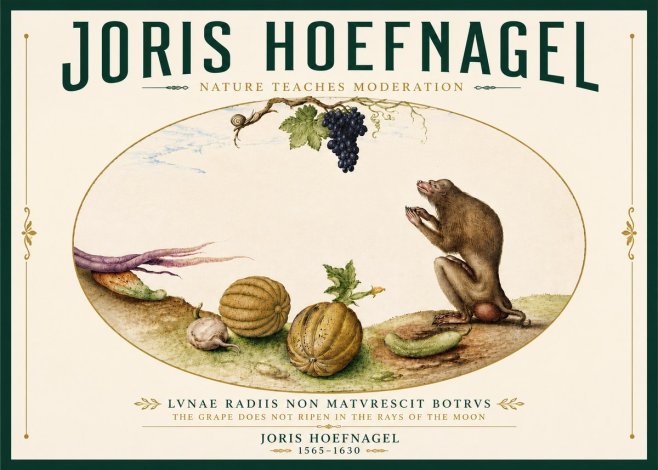 Joris Hoefnagel Nature Teaches Moderation No6 - Poszter
