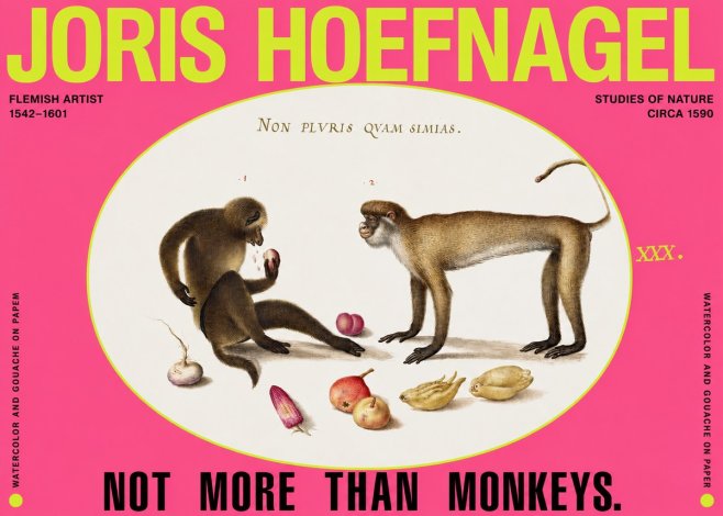 Joris Hoefnagel Not More Than Monkeys No2 - Poszter