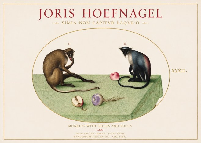 Joris Hoefnagel Monkeys with Fruits and Roots No1 - Poszter