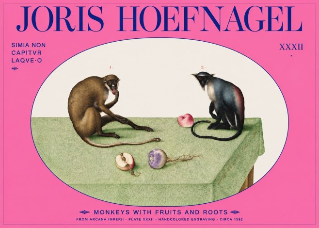 Joris Hoefnagel Monkeys with Fruits and Roots No2 - Poszter