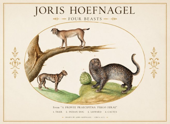 Joris Hoefnagel Four Beasts No1 - Poszter