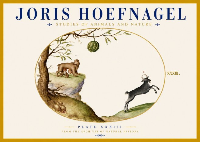 Joris Hoefnagel Plate Xxxiii No5 - Poszter