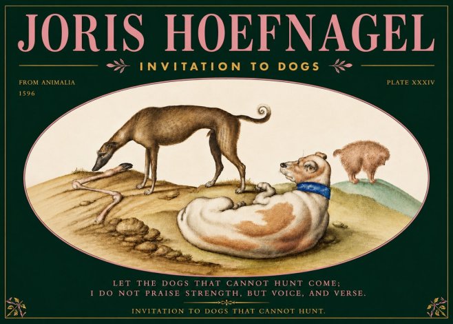 Joris Hoefnagel Invitation to Dogs No5 - Poszter