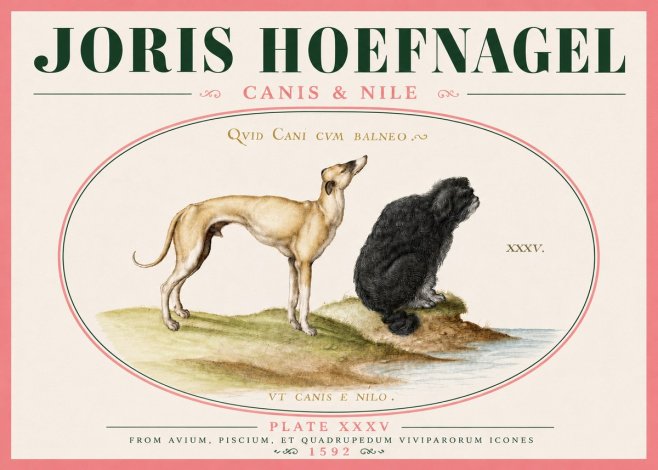 Joris Hoefnagel Neither Can a Dog Live in Baths No6 - Poszter