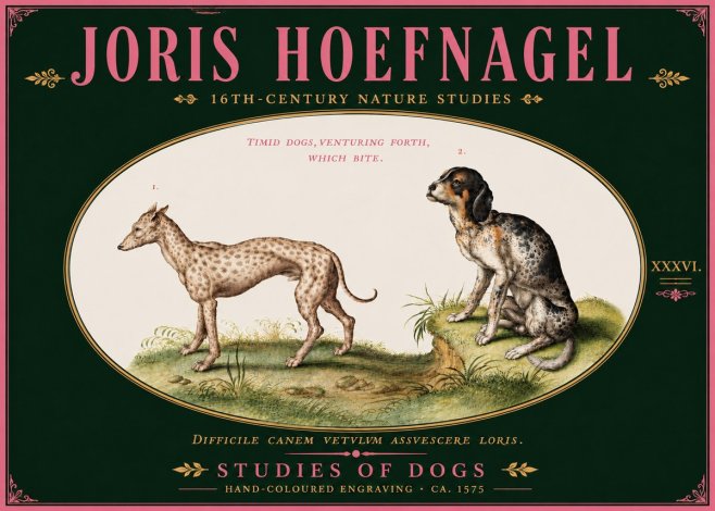 Joris Hoefnagel Studies of Dogs No6 - Poszter