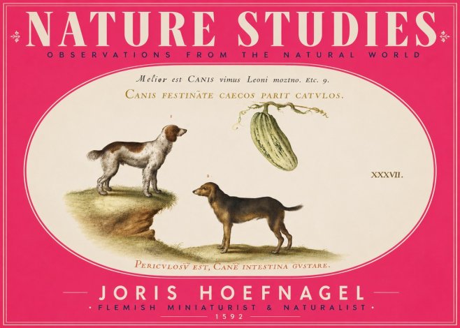 Joris Hoefnagel Canis Festinas Caecos Parit Catulos No5 - Poszter