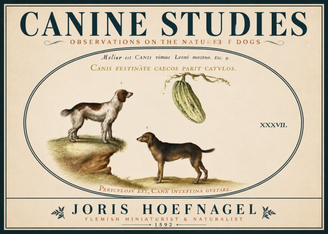 Joris Hoefnagel Canis Festinas Caecos Parit Catulos No6 - Poszter