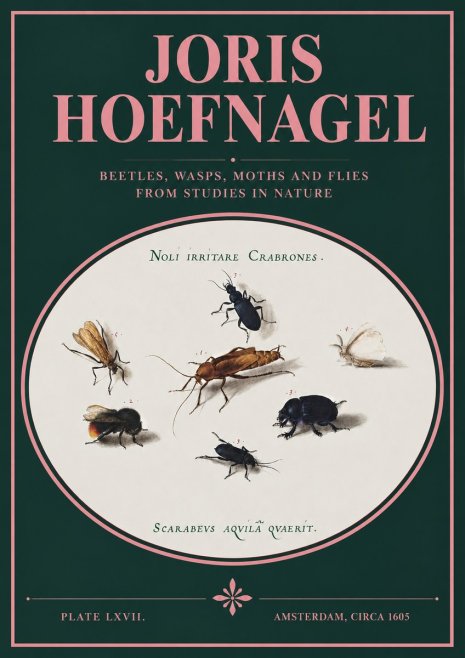 Joris Hoefnagel Scarabeus Aqvilä Qvaerit. No3 - Poszter