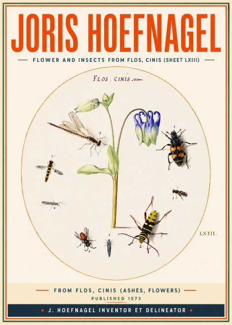 Joris Hoefnagel Insects and a Flower Study No4 - Poszter