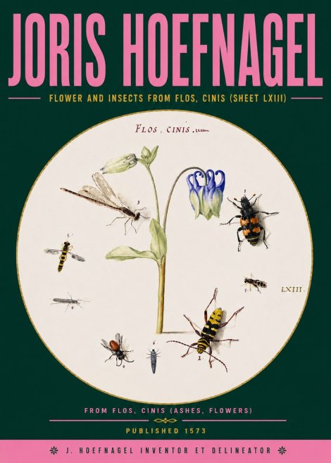 Joris Hoefnagel Insects and a Flower Study No6 - Poszter
